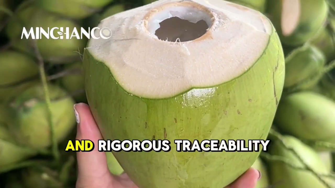 How Vietnam’s Coconut Secret is Changing the World Supply Chain 🥥📊