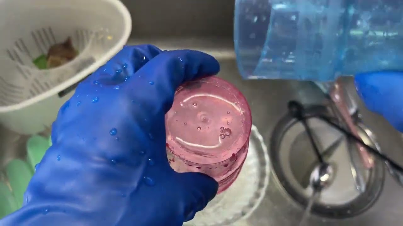 青いゴム手袋をはめて食器洗い・水の音ASMR　Dishwashing with blue rubber gloves, water sound ASMR　#294