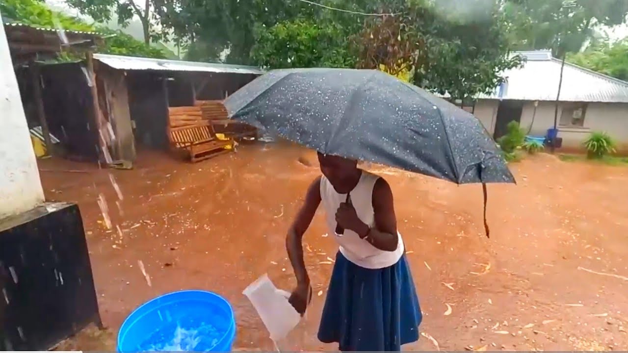A Beautiful Rainy Morning 🌧️ in an African Village #cooking a Survival Meal with Our Youngest Wives