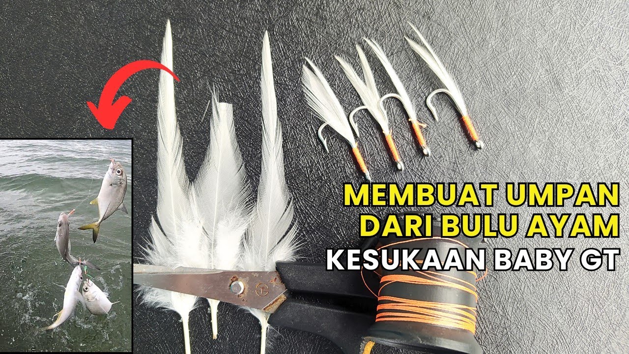 TUTORIAL MEMBUAT UMPAN DARI BULU AYAM COCOK CASTING BABY GT