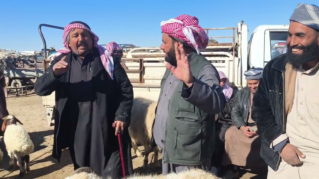 سوق الحداديه يوم الاربعاء //4//2//2026// حركه السوق عند الدلال ابو غازي وجميع الدلاله اخوان اشتراك 
