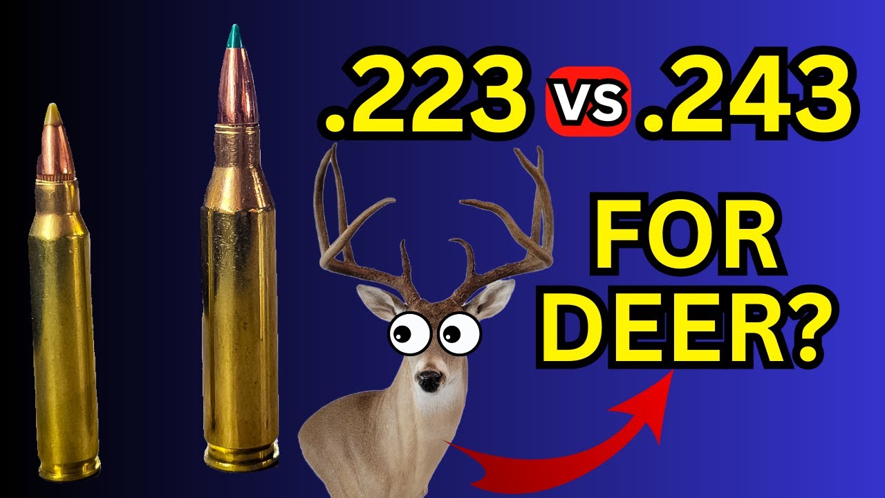 .223 против .243 для охоты на оленей???