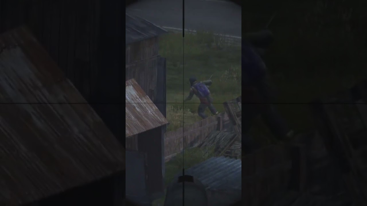 Dayz: Blaze