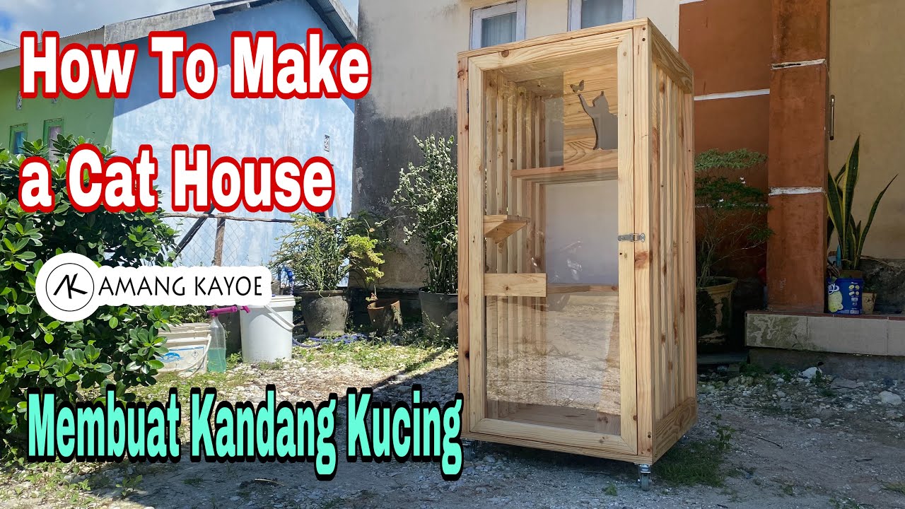 How to make a cat house - membuat kandang kucing