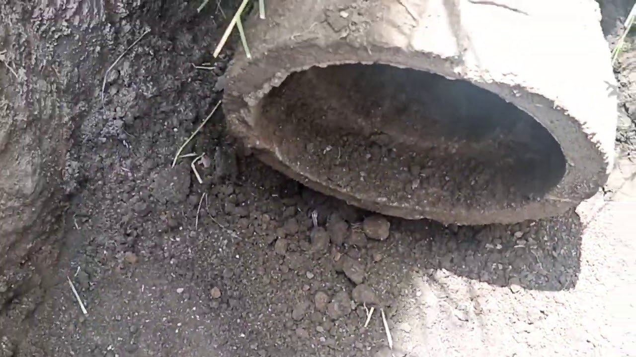 Colocación de drenaje con tubo de albañal