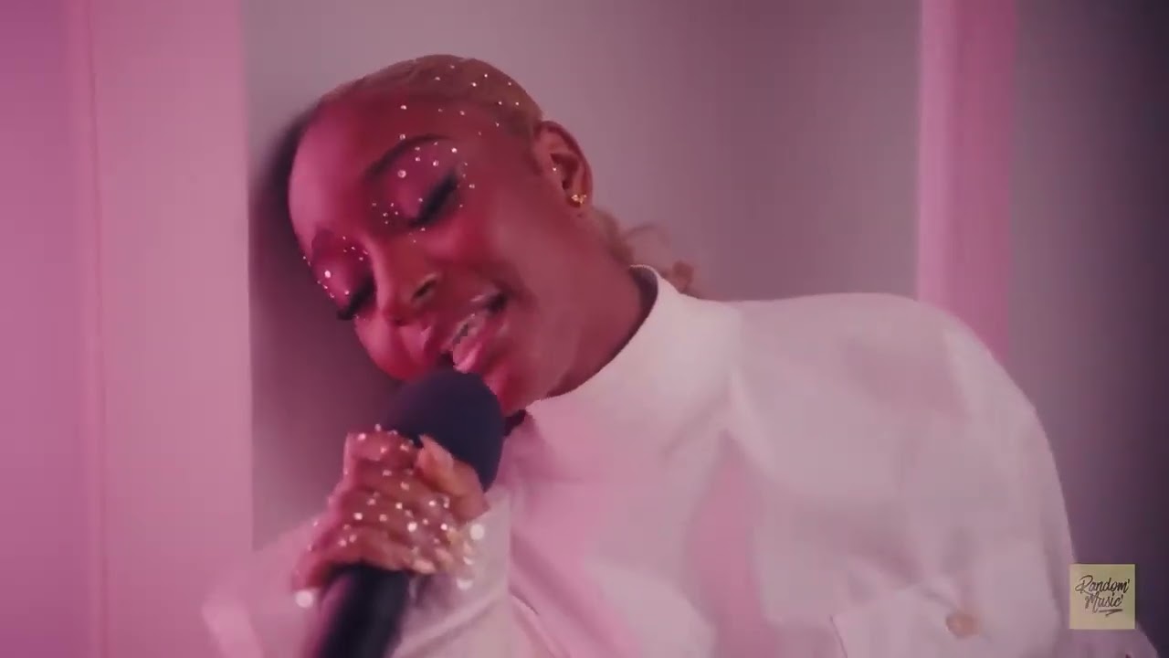 Ninho ft. Ayra starr - NO LOVE ( official video )