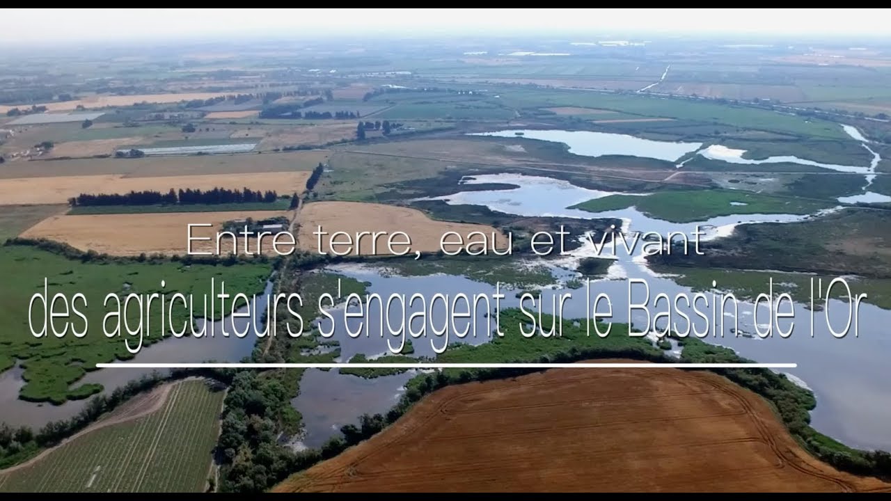 Entre terre, eau et vivant des agriculteurs s'engagent sur le Bassin de l'Or