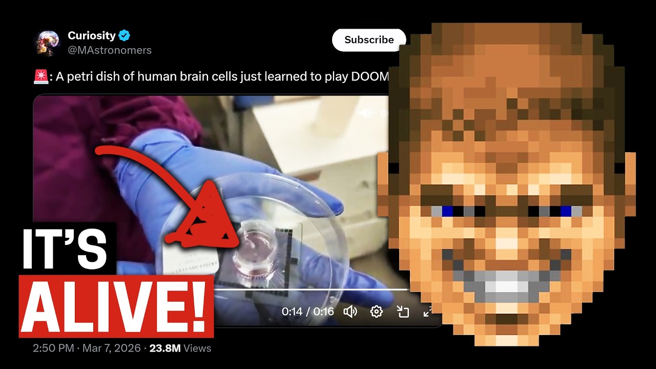 Brain Cells Play DOOM (Yes, Really). Nintendo Sues The US. OpenAI Panics.