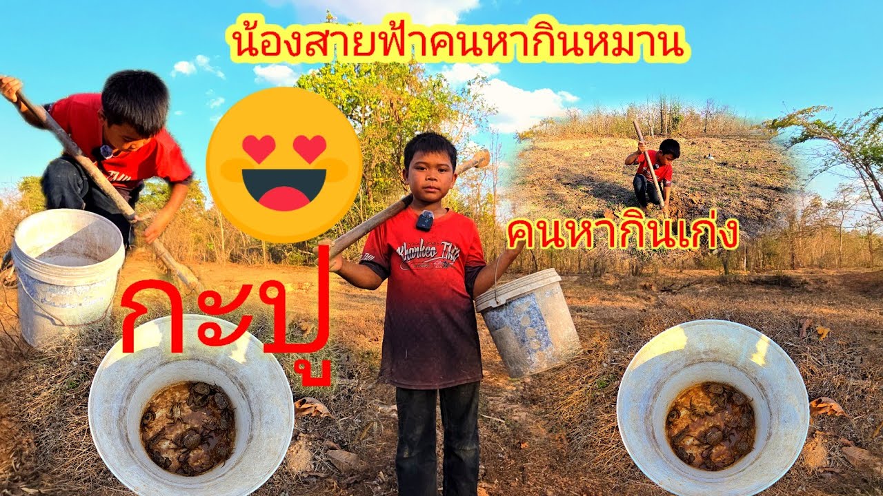 น้องสายฟ้าพาบ่าวแก้วไปขุดหากะปูนา&วาหมานแน่นอน15 มีนาคม ค.ศ. 2026