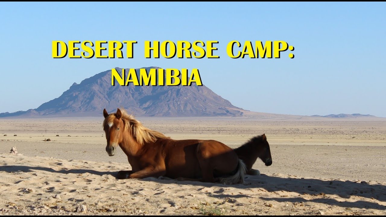 DESERT HORSE CAMP: NAMIBIA