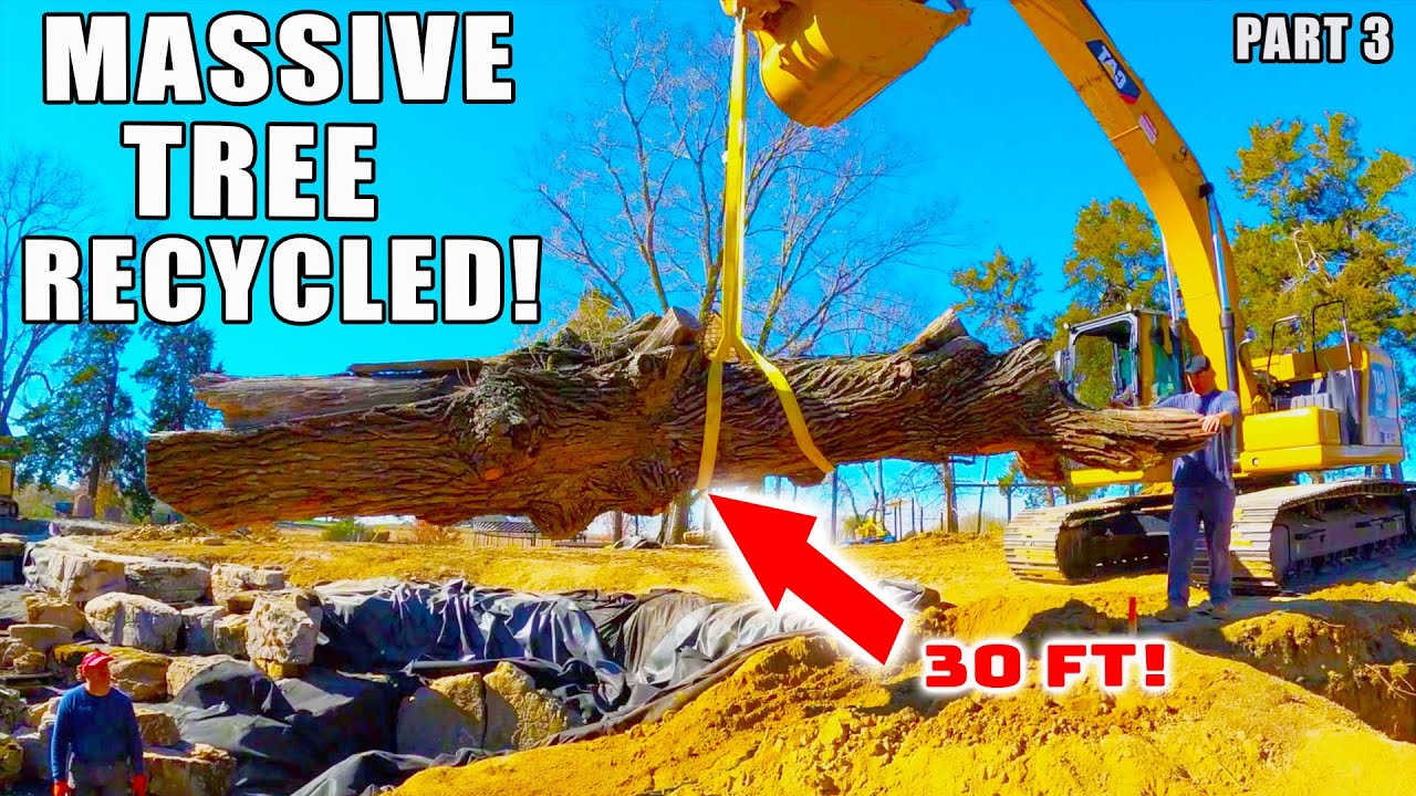 How To Naturalize a *RECREATION POND* - Part 3