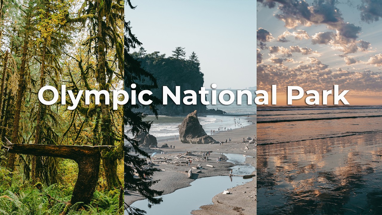A weekend on the Olympic Peninsula | End of summer camping at Kalaloch, Hoh Rainforest & Ruby Beach