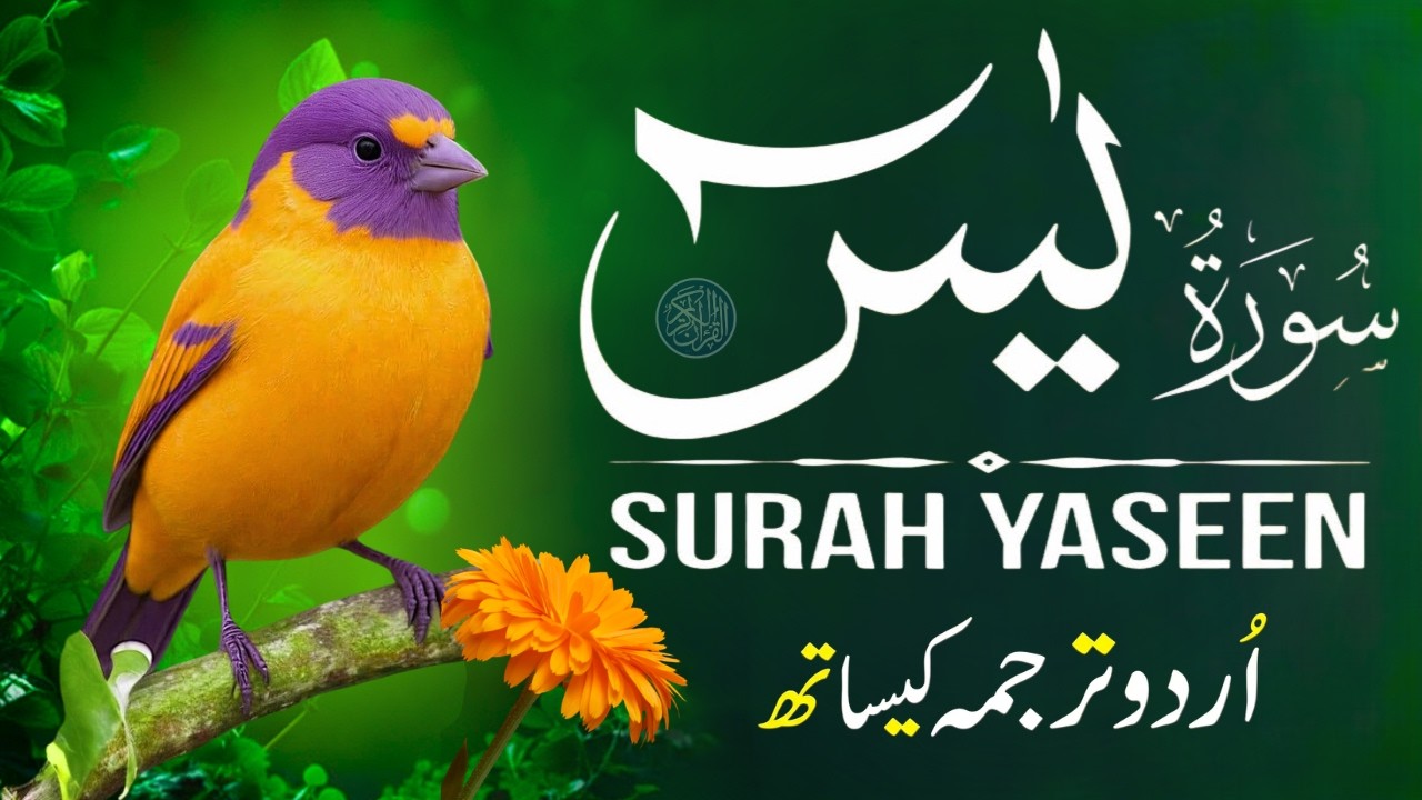 Surah Yaseen with Urdu Translation | Beautiful Recitation by Qari Mansoor Ghaznavi | Ep004
