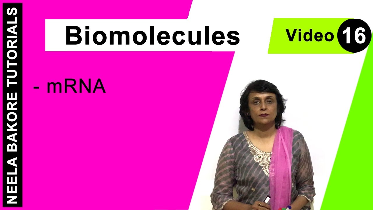 Biomolecules | NEET | mRNA | Neela Bakore Tutorials