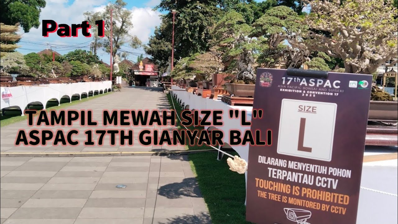 Part 1 || Bonsai Terbaik Size L yang Tampil Di ASPAC Gianyar 2025