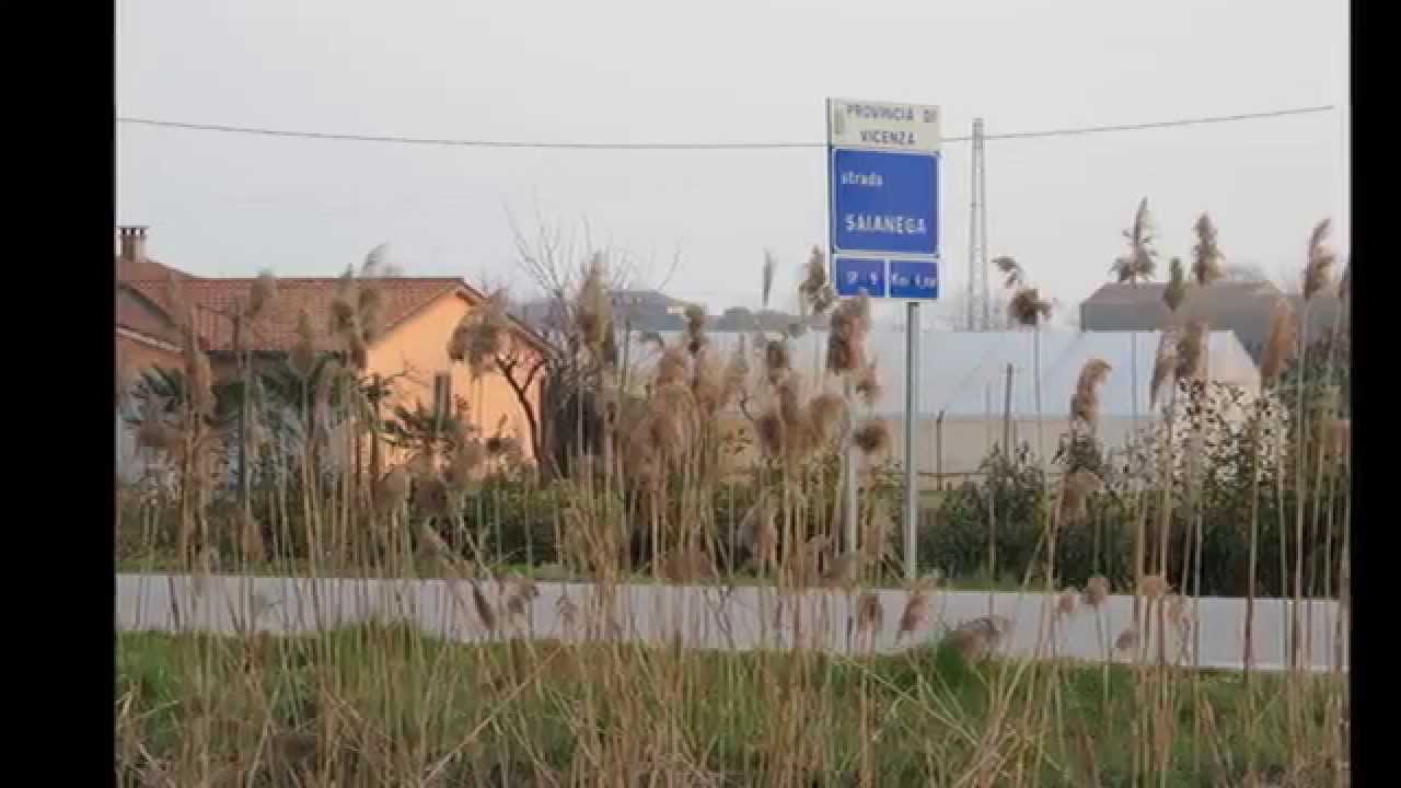 Treviso - Ostiglia  tratto da Legnago a Sossano  marzo 2015