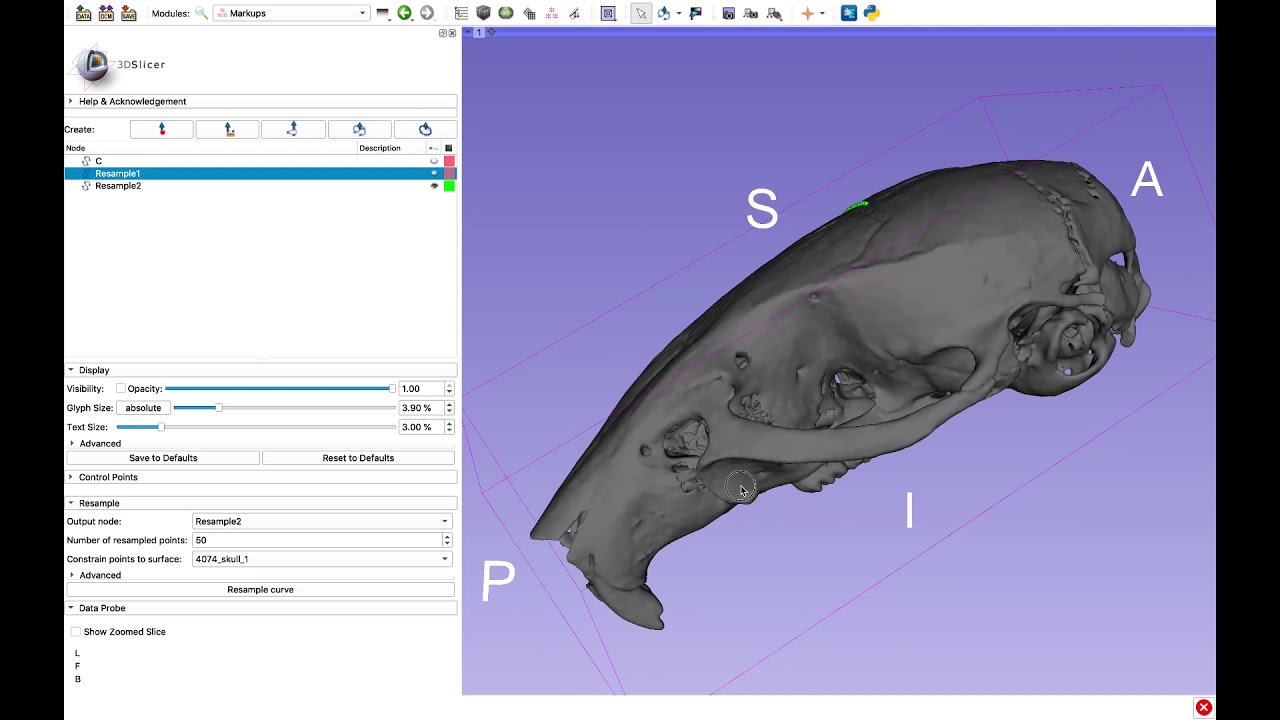 Generating semi-landmarks with curves function in 3D Slicer