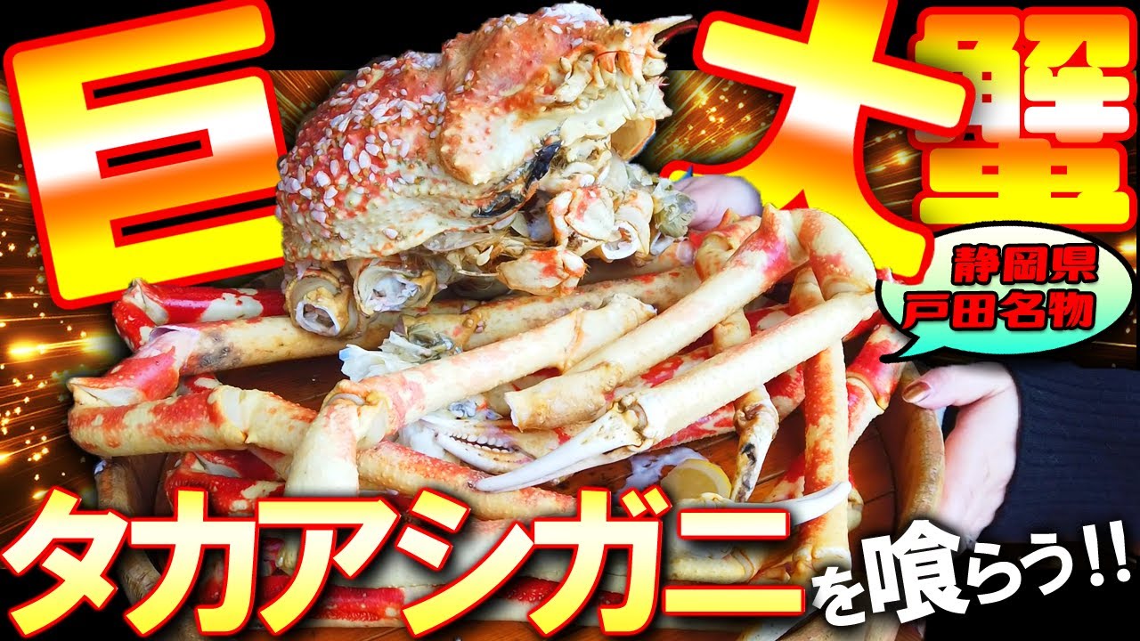 世界最大の蟹 タカアシガニ を喰らう！ ギネスブック にも載った深海の使者 高足ガニ  ( 高足がに )との遭遇【 西伊豆 沼津 戸田 】