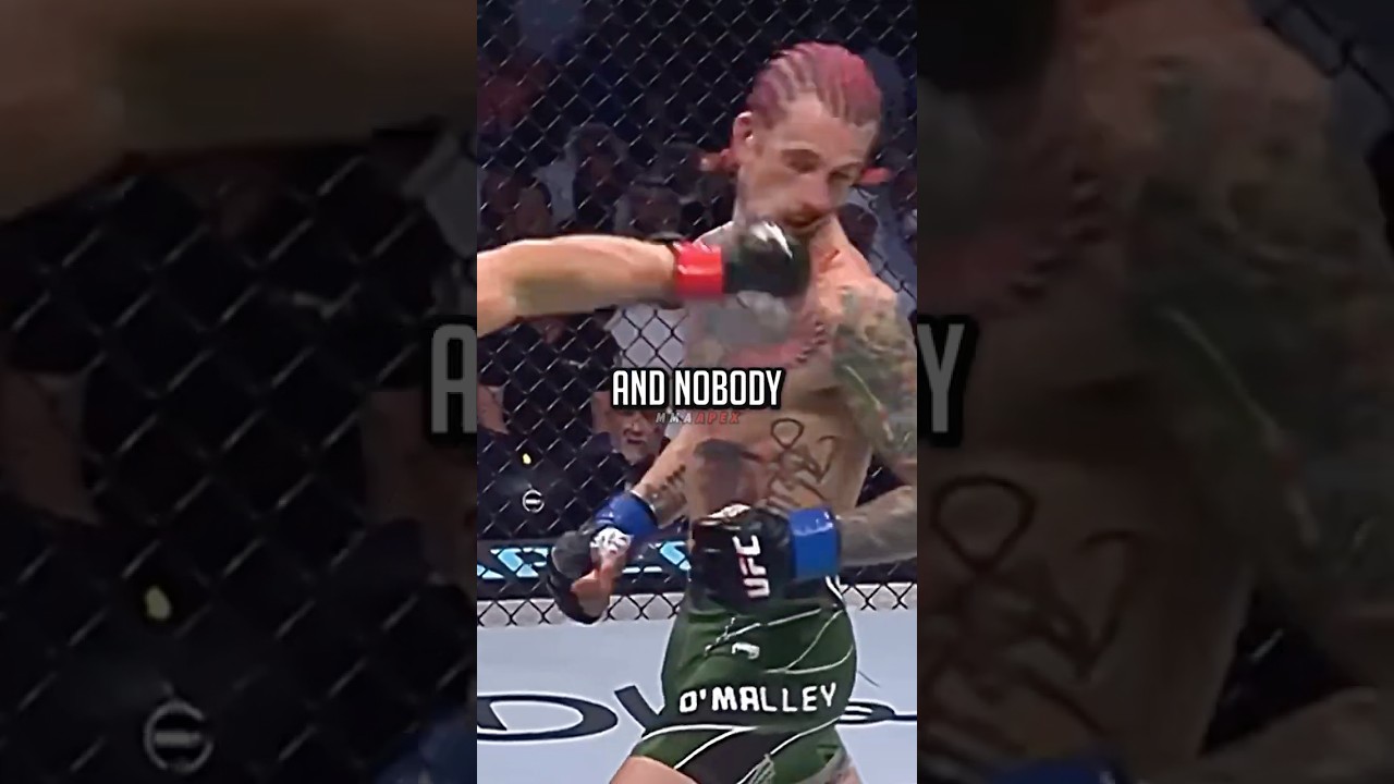 UFC Fighter vs Bruce Lee