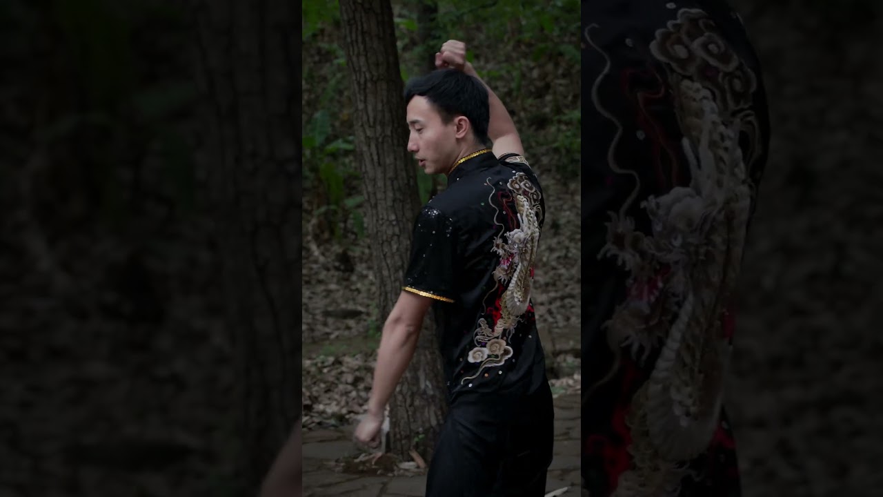 Lie Shen Quan: Showcasing the Essence of Chinese Traditional Martial Arts.列神拳：展现中国传统武术的精髓.