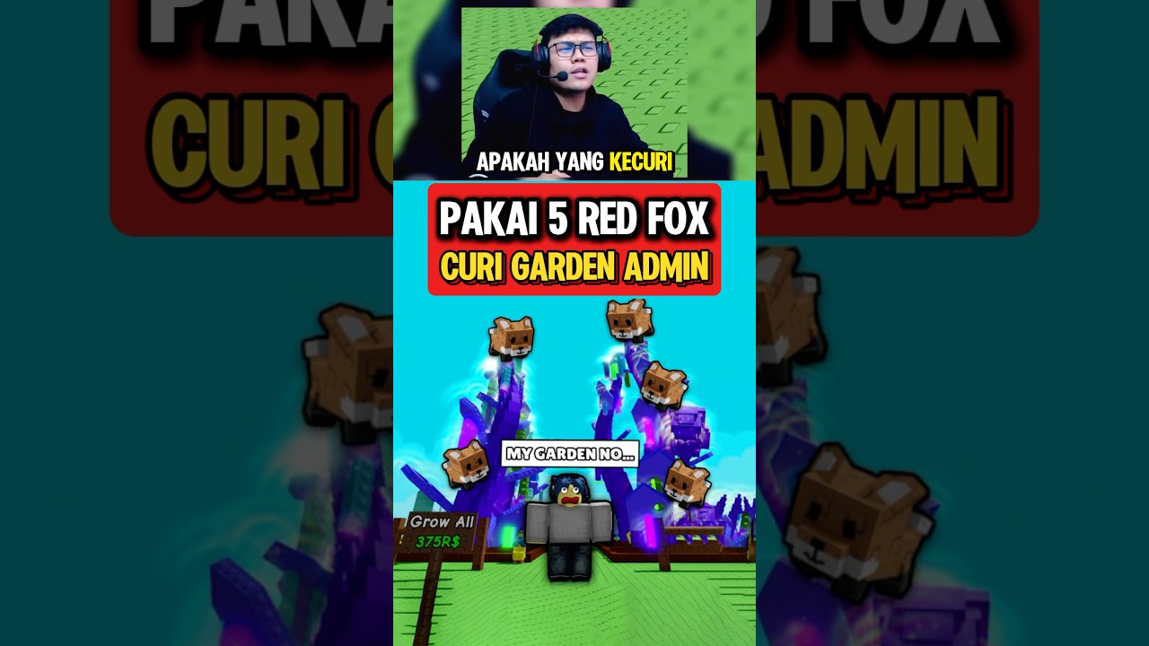 AKU CURI GARDEN ADMIN PAKAI 5 RED FOX DI GROW A GARDEN ROBLOX #growagarden #shorts
