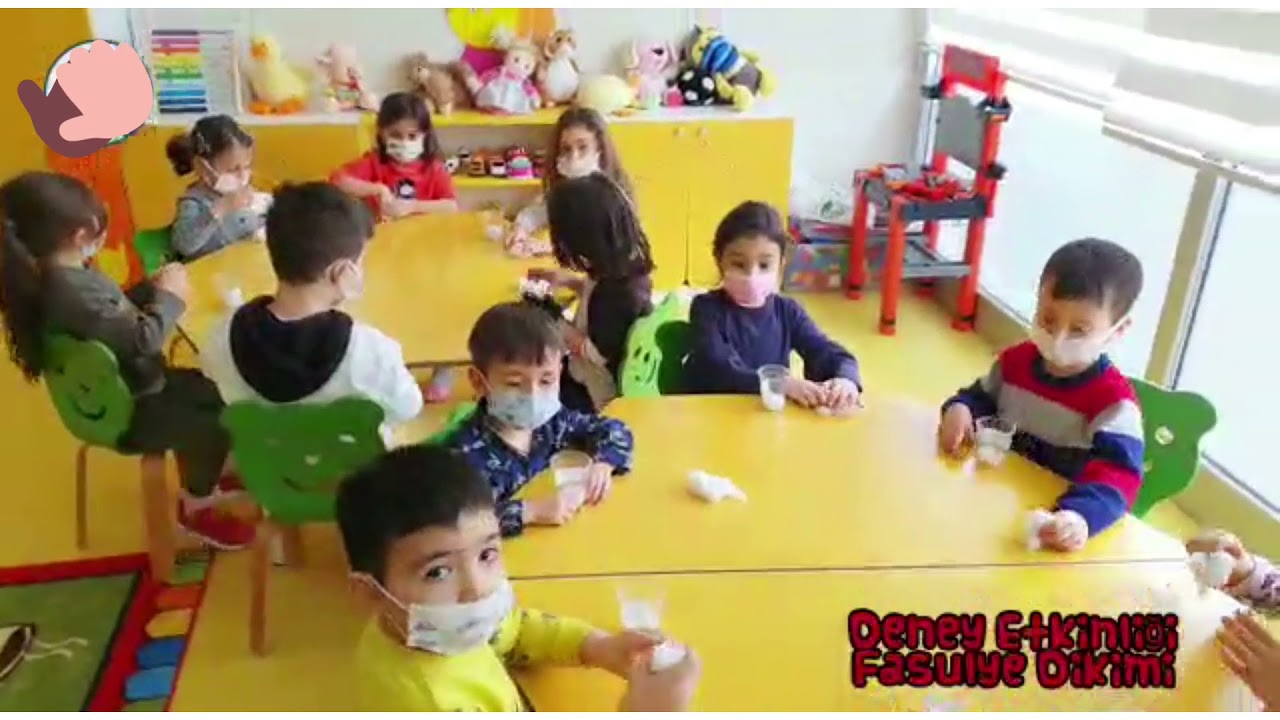 Deney Etkinliği ( Fasulye Çimlemdirme ) Oyun Etkinliği
