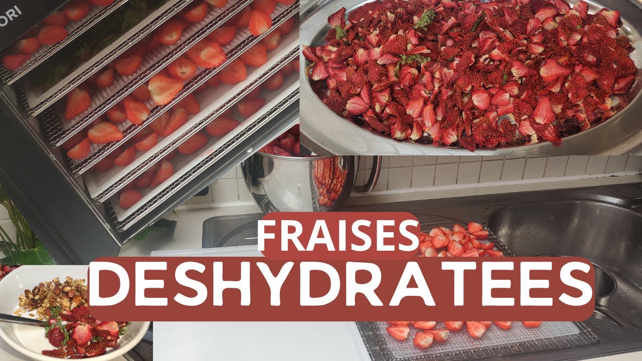 C'est la saison des fraises. DESHYDRATER les FRAISES pour aromatiser son YAOURT et GRANOLA maison
