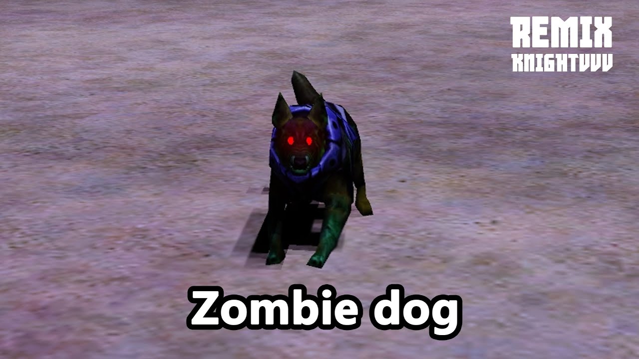 Zombie dog