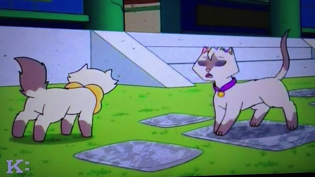 Sagwa the Chinese Siamese Cat- Cha-Siu Bow Wow