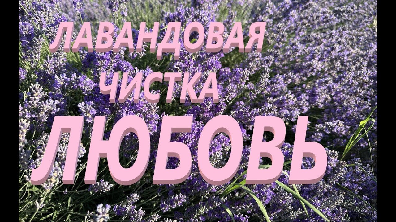 Лавандовая чистка 🌿и привлечение 💕любви! #ритуалонлайн#магия #анжеларитуал