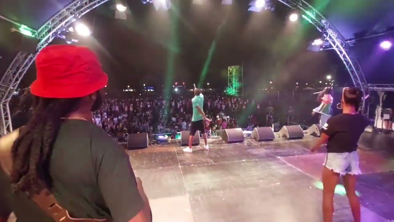 Gwada G -Wake Me Up (Live at Karukera One Love Festival) ft Dj Taffy, Freddy, Quan, Candy (Bass Cam)