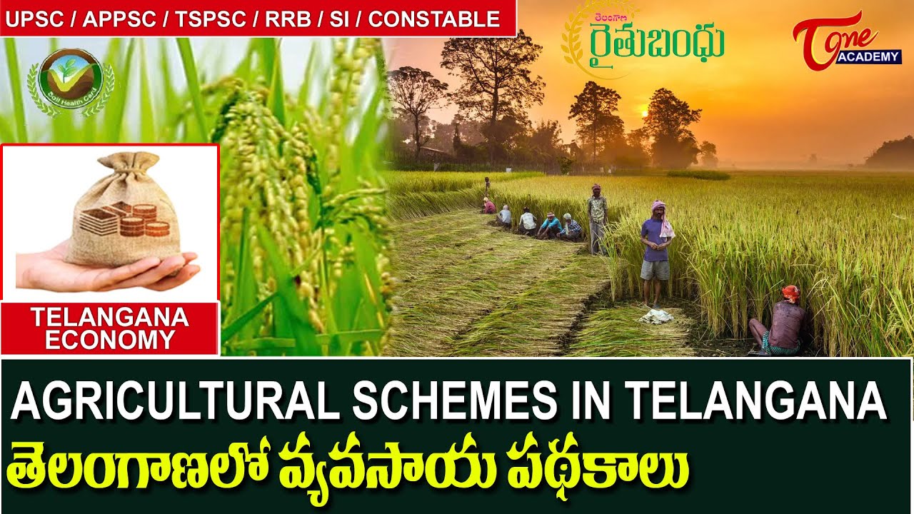 Agricultural Schemes In Telangana | Telangana Economy | Tone Academy | Sujath