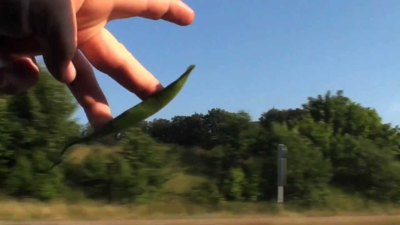 The Invention of Fingersurfing
