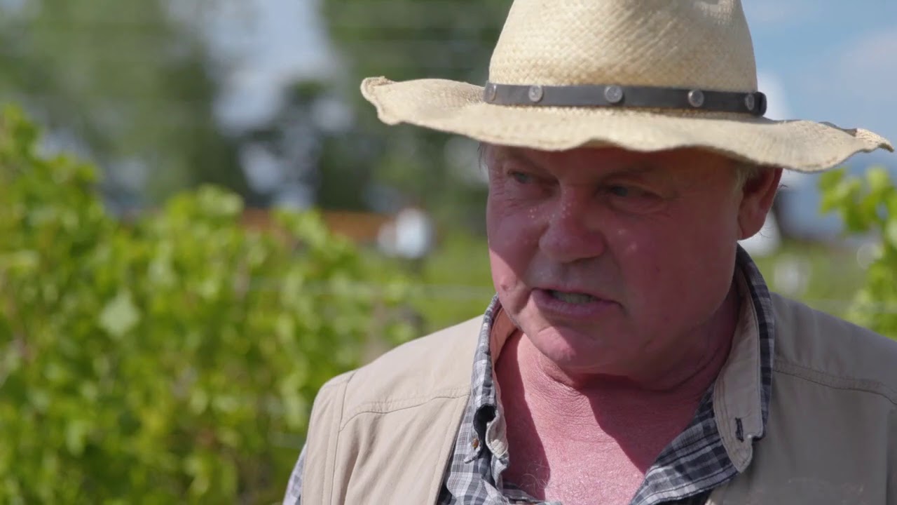 Biodynamic farming at Jack Rabbit Hill