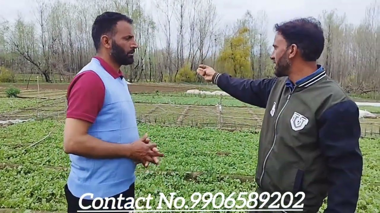 Seedling Grower Ab Qayoom Kulgam #technology #farming #kashmir #agriculture #