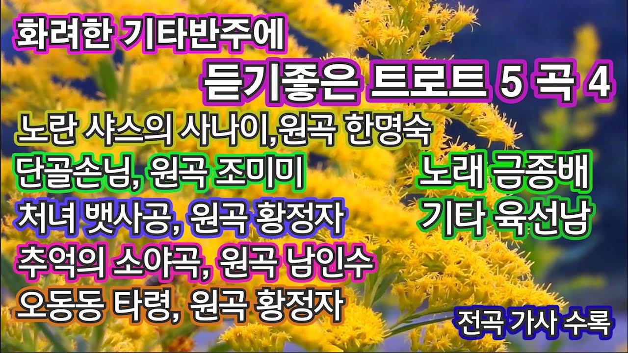 화려한 기타 반주에 들어보는 트로트 5곡 4 - 노래 금종배 기타 육선남