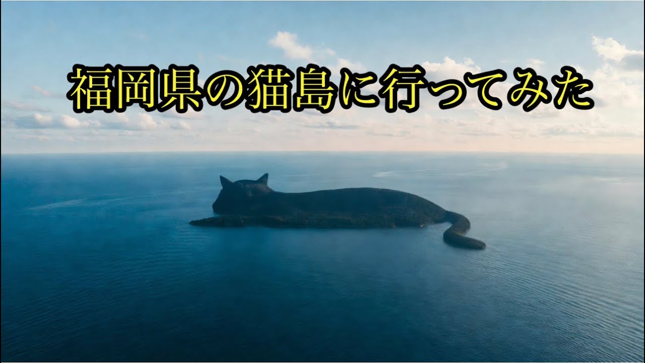 福岡県の猫島に行ってみた