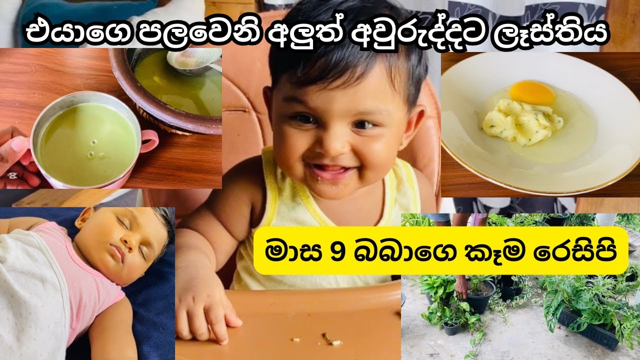 චූටි දෝණි එක්ක අලුත් අවුරුද්දට අපේ ලෑස්තිය | මාස 9 බබාගෙ කෑම රෙසිපි | Mom of lithnara 🌷