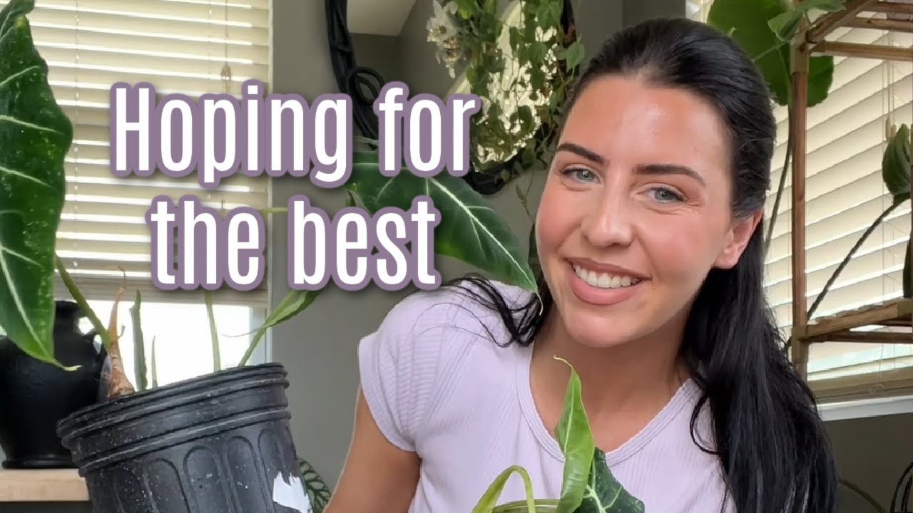 Repot plants with me as I try to be a better plant mom 🙃🪴