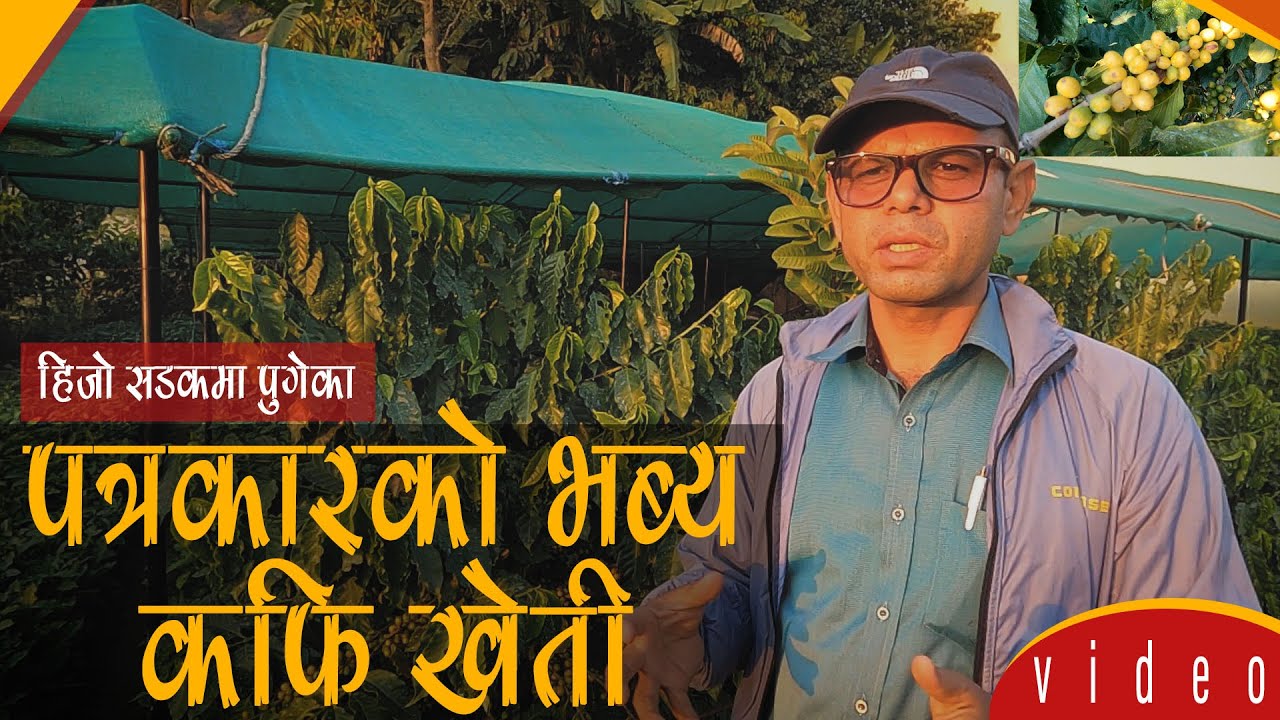 पत्रकारिताले सडकमा पु-याएको पत्रकारको भब्य कफि खेती।।उत्पादन, प्याकिङ देखि बजारसम्म आफै ।