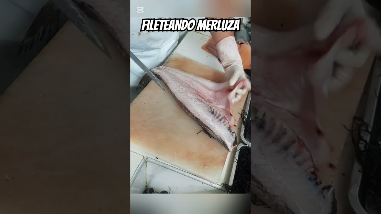 Fileteando pescado merluza , bueno para freir y para el ceviche #filetedepescado #merluza #fish