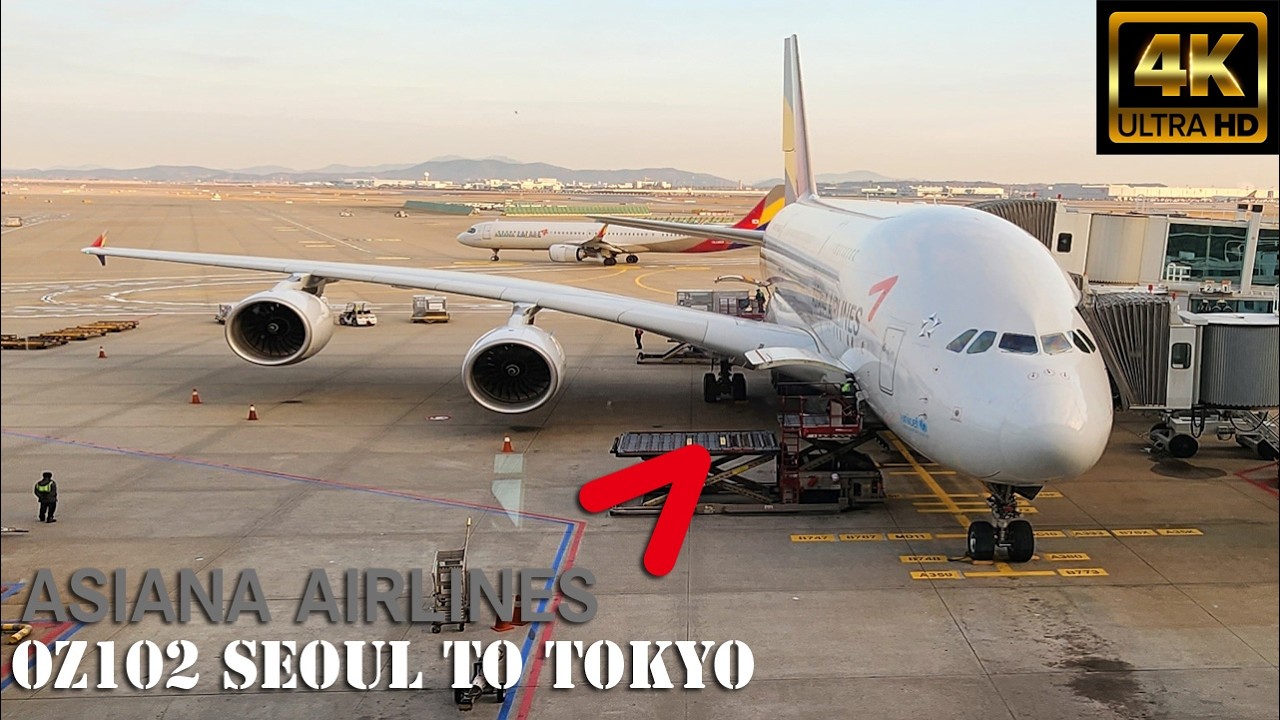 Asiana Airlines OZ102 Seoul ✈ Tokyo Experience | 🇰🇷 🛬 🇯🇵 4K