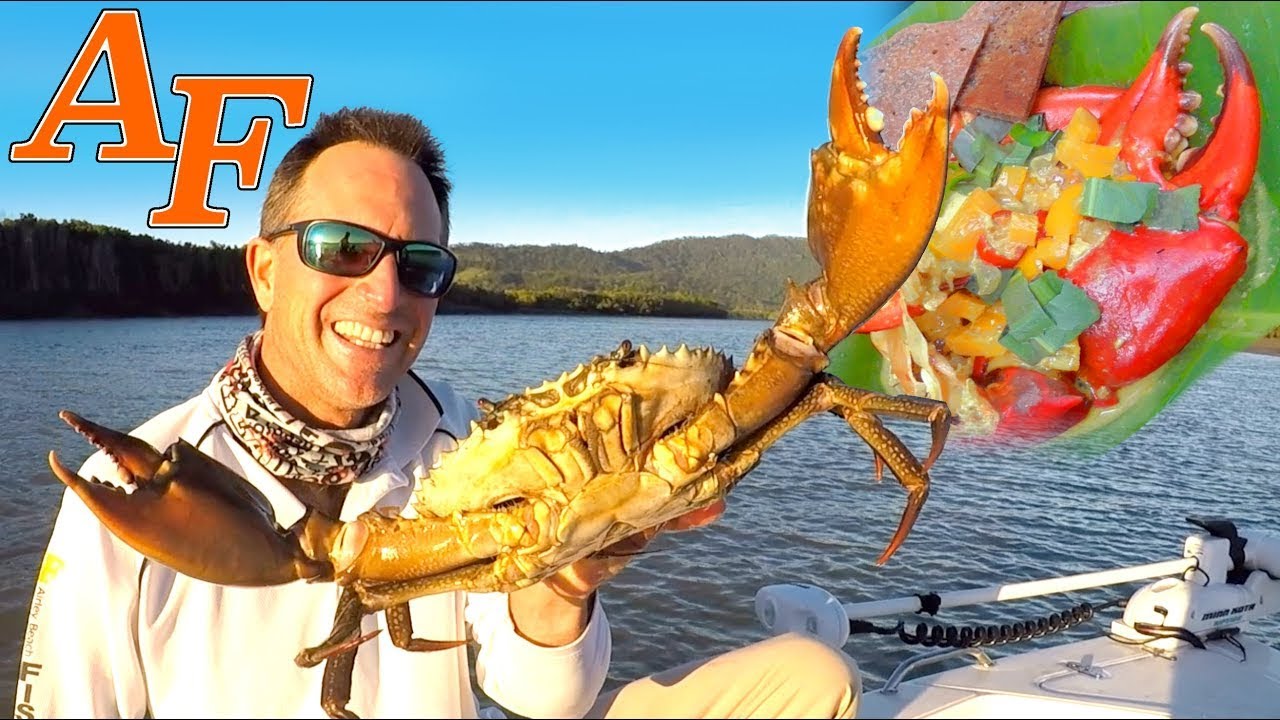 Mud Crab Curry Catch and Cook in Bush Kitchen with Crocodiles and Barramundi Fishing EP.439