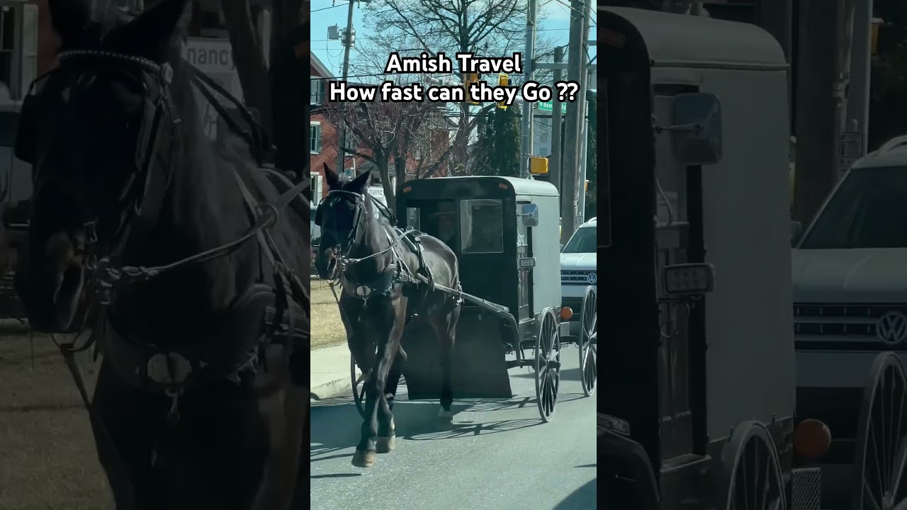 Amish travel #roadtrip #sightseeing #biker #nature #amish #horse