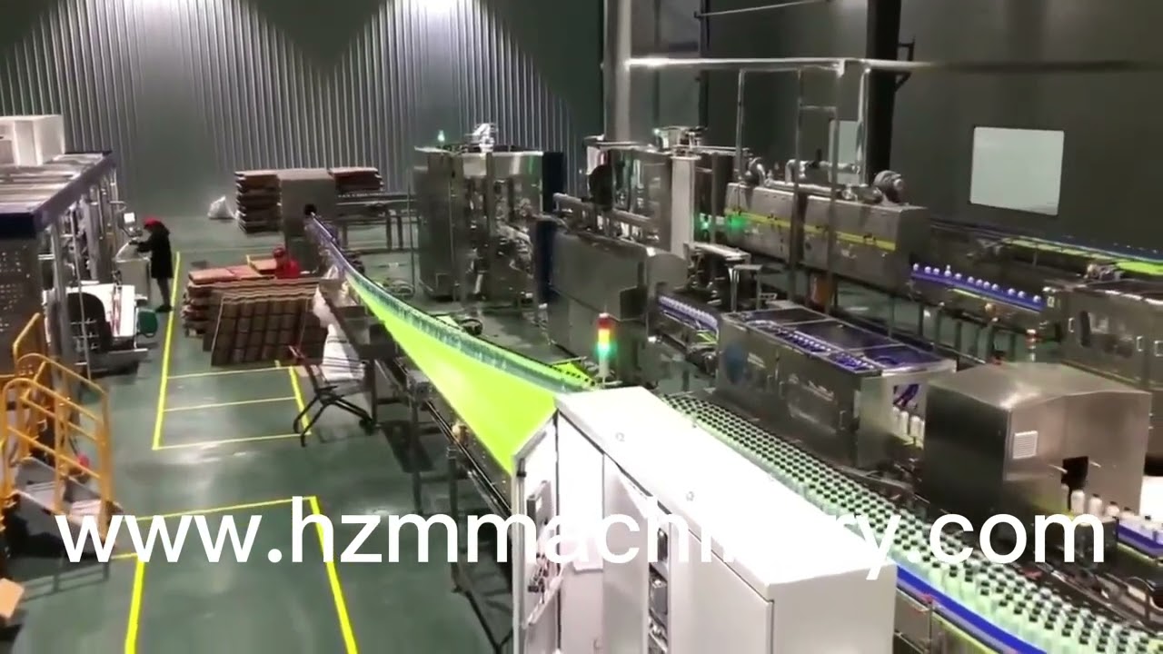 Full Automatic Turnkey Project PET Plastic Bottle Juice Production Line