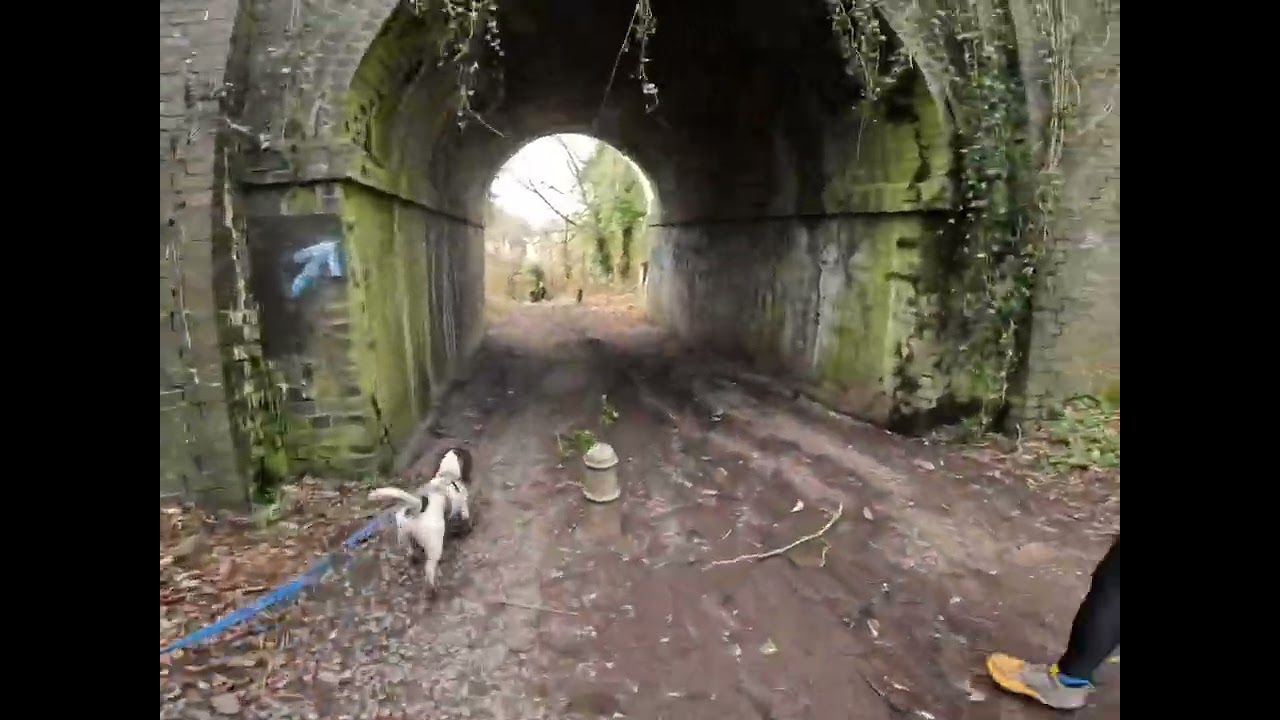 The Telford T50 50 miler - last 10