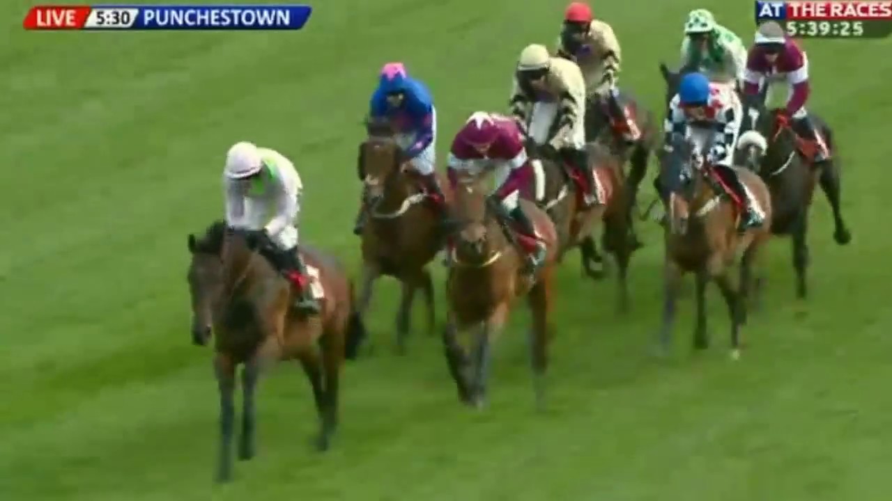 Don Cossack - Bibby Financial Services Ireland Punchestown Gold Cup (G1) 2015