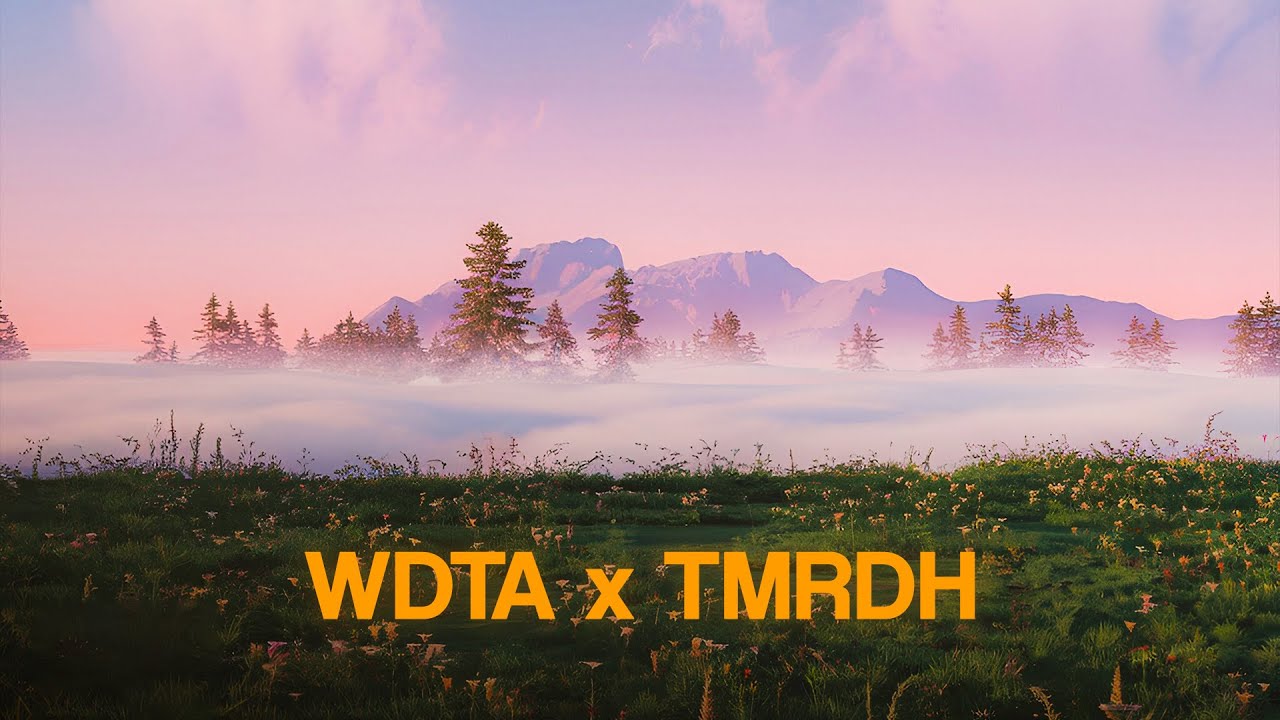 WDTA x TMRDH (Music) | We Don't Anymore x Tujh Mein Rab Dikhta Hai (Mashup) | Hemen Patel