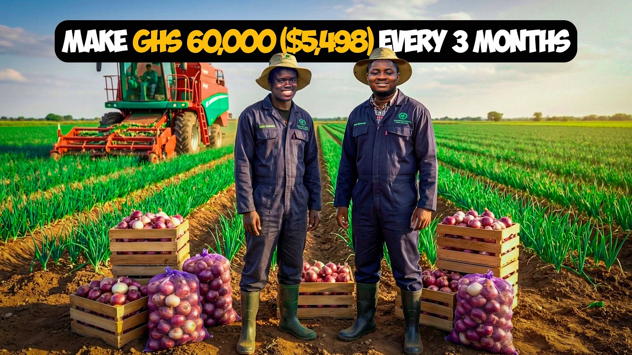 How To Make GHS60,000($5,498) Every Three Months From Just an Acre of Onion Farm in Ghana