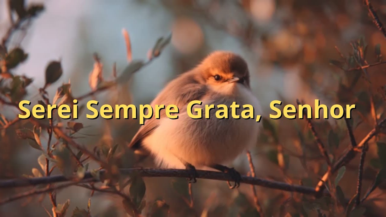Serei Sempre Grata, Senhor / Elara de Deus / Louvor para Deus/GOSPEL